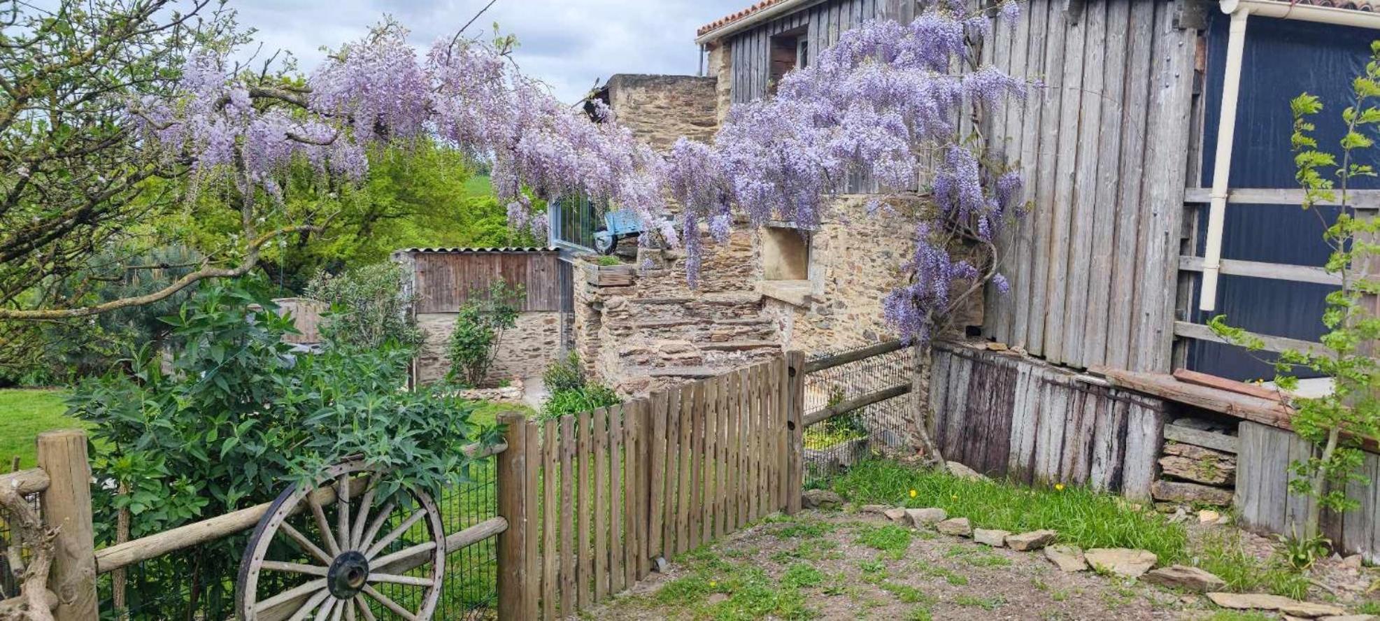 Aux Yourtes De La Fabrique Saint-Florent-des-Bois Buitenkant foto
